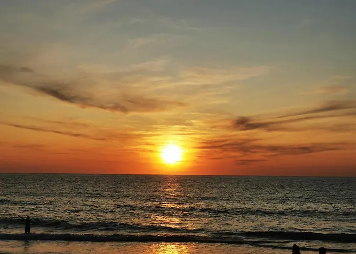 Landes Conviviales, Chez L'habitante, Laëtitia ! Saint-Vincent-de-Tyrosse
